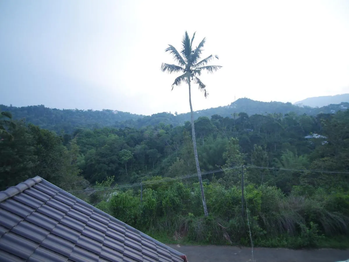 Creek Way Munnar Hotel Anachal India